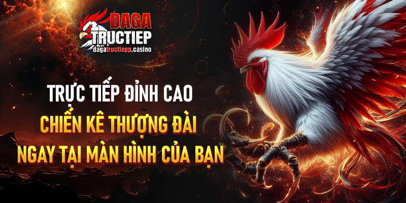 Đá Gà Trực Tiếp ÉC🎖️ Xem Chọi Kê Full HD - Lịch Cập Nhật 7/2026 3 Các loại hình đá gà trực tiếp được phát sóng