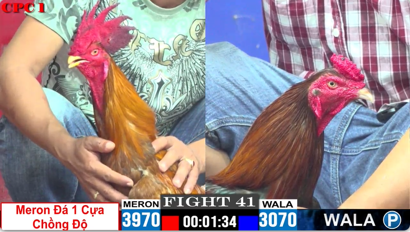 2025 07 25 10 12