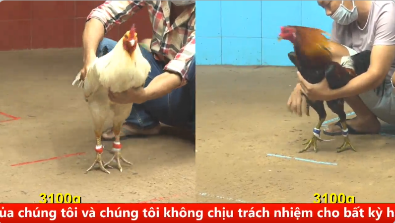 Trận 6 cpc 4 ngày 01/09/2025 Bồ đầu tháng đông quá anh em 1 cpc 4
