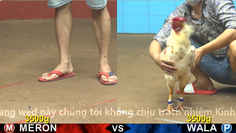 cpc4