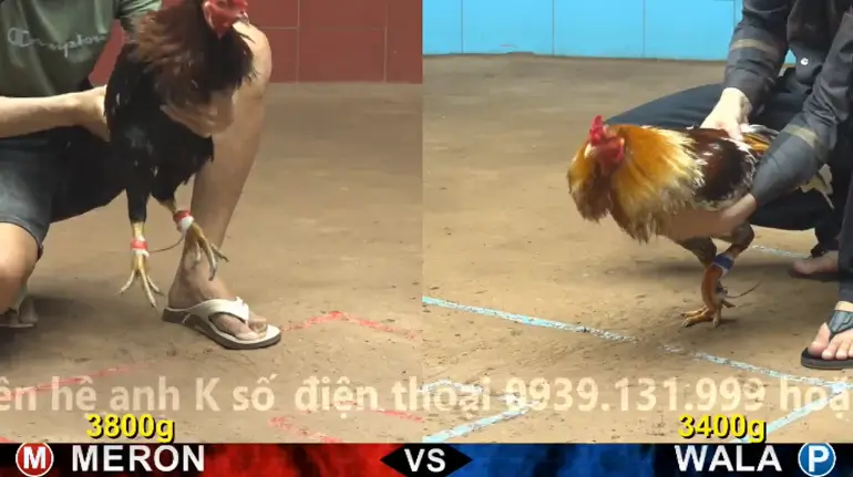 4 2
