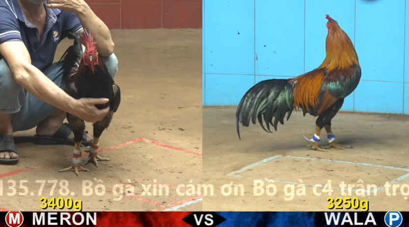 dagacpc5